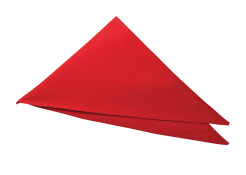 Premier Chef's Scarf